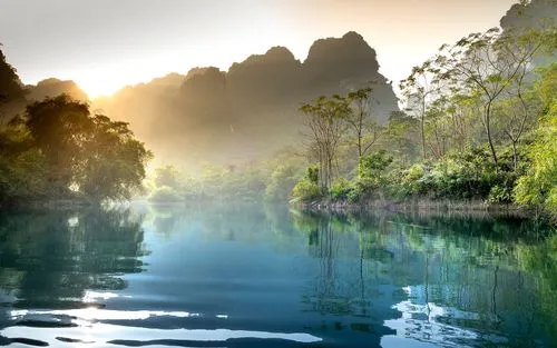 全自动绿色高端